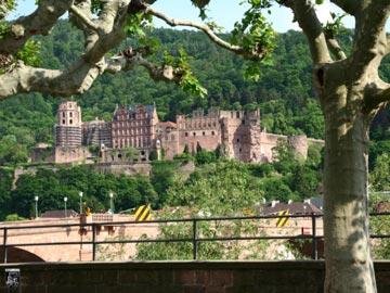 Schloss Heidelberg, Heidelberger Schloss 40