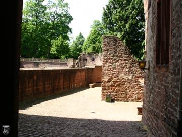 Schloss Heidelberg, Heidelberger Schloss 67