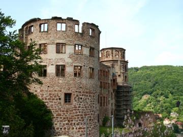 Schloss Heidelberg, Heidelberger Schloss 82