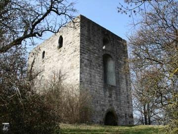 Burg Helfenberg 1