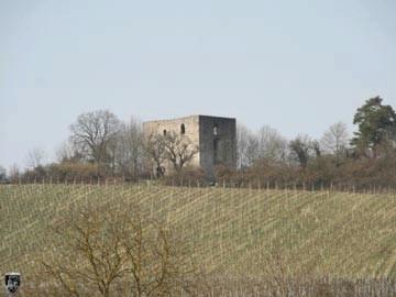 Burg Helfenberg 28