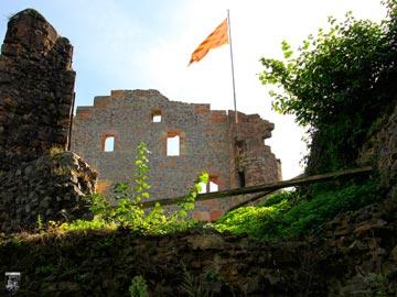 Burg Hohengeroldseck 11
