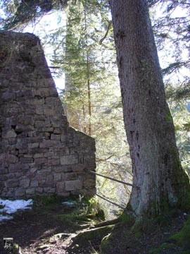 Burg Kirneck 3