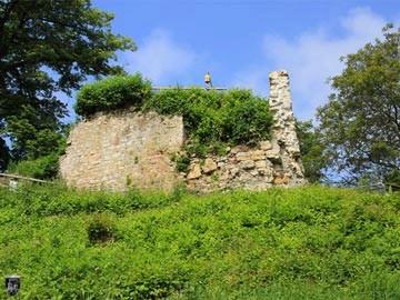 Burg Landeck 31