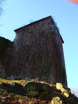 Burg Lichtenberg 25