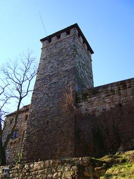 Burg Lichtenberg 29