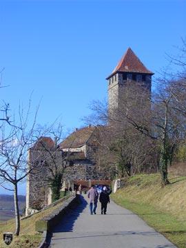 Burg Lichtenberg 33