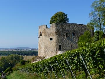 Burg Lichteneck 15