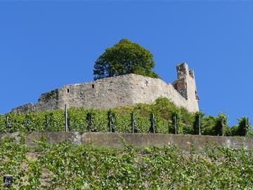 Burg Lichteneck 16