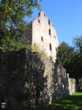 Schloss & Burg Neuenbürg 58