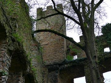 Burg Obergrombach 17