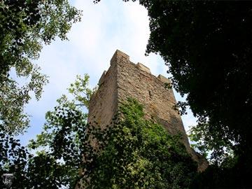 Burg Obergrombach 25