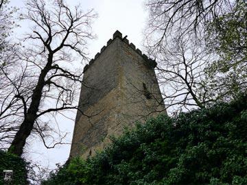 Burg Obergrombach 4
