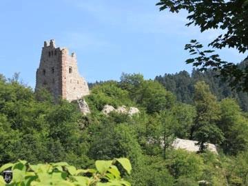 Burg Schenkenburg, Schenkenzell 1
