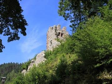 Burg Schenkenburg, Schenkenzell 16