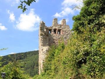 Burg Schenkenburg, Schenkenzell 21