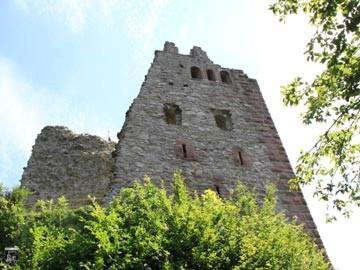Burg Schenkenburg, Schenkenzell 39