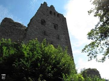 Burg Schenkenburg, Schenkenzell 9