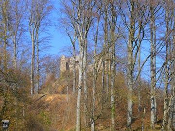 Burg Schneeburg 4