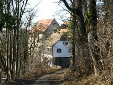 Burg Tierberg 8