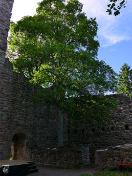 Burg Waldau 19