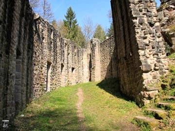 Burg Waldeck 24