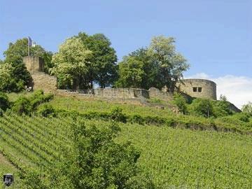 Burg Weinsberg, Weibertreu 39