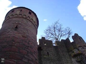 Burg Wertheim 4