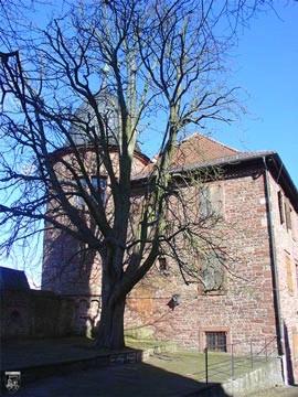 Burg Wertheim 50