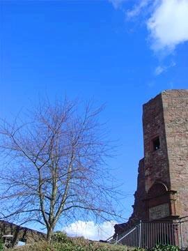 Burg Wertheim 81
