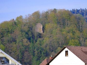 Burg Wiesneck 1