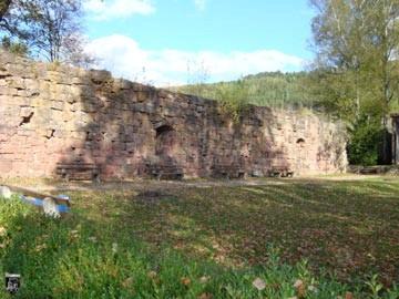 Burg Wildberg 17