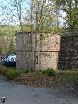 Burg Wildberg 37