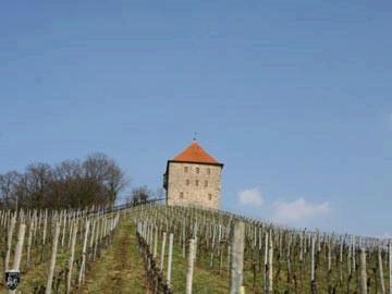 Burg Wildeck 8