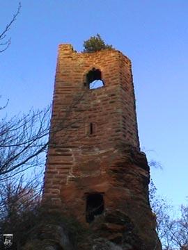 Burg Wasigenstein 8
