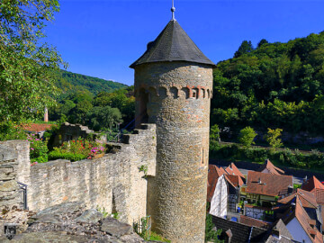 Burg Eppstein 16