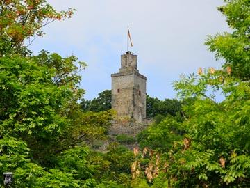 Burg Falkenstein 1