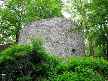 Burg Falkenstein 35