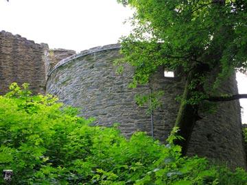 Burg Falkenstein 5