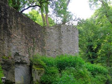 Burg Falkenstein 8