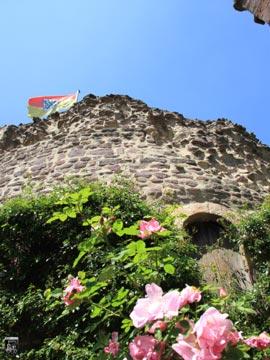 Burg Hayn, Dreieichenhain 11