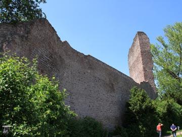 Burg Hayn, Dreieichenhain 38