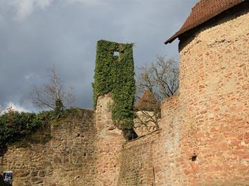 Burg Hirschhorn 31