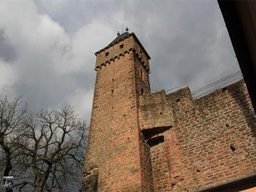 Burg Hirschhorn 41