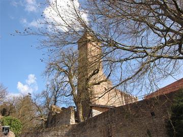 Burg Hirschhorn 60