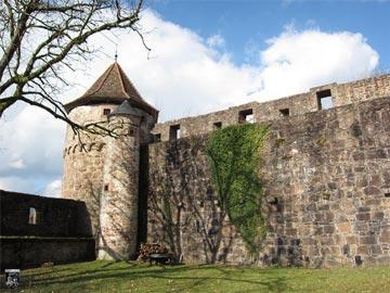 Burg Hirschhorn 61