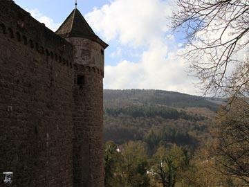 Burg Hirschhorn 8