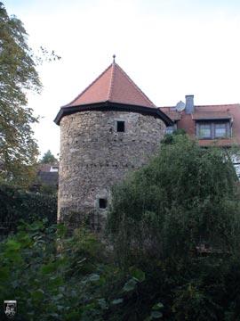 Burg Treis 8