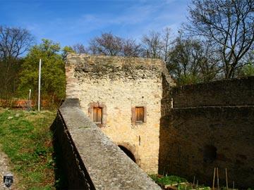 Burg Plesse 12