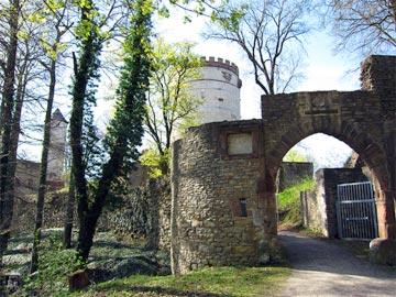 Burg Plesse 28